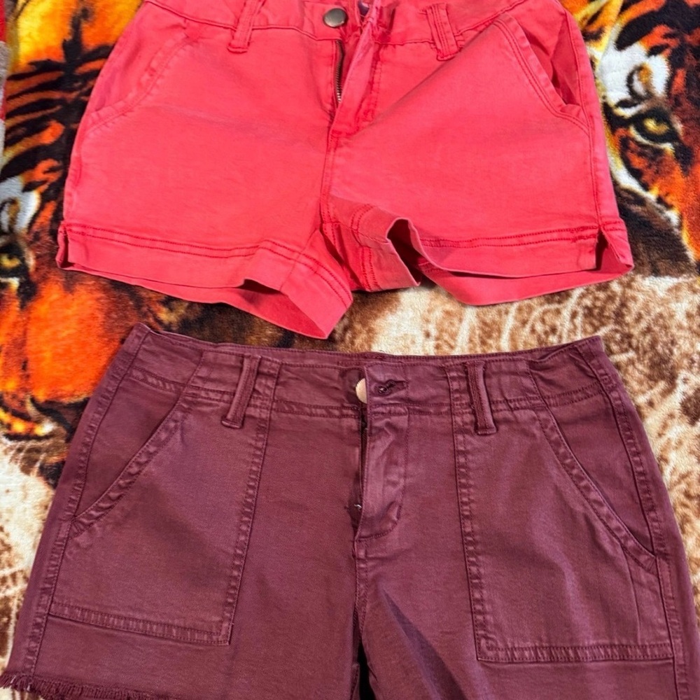 Women's Red and Purple Shorts